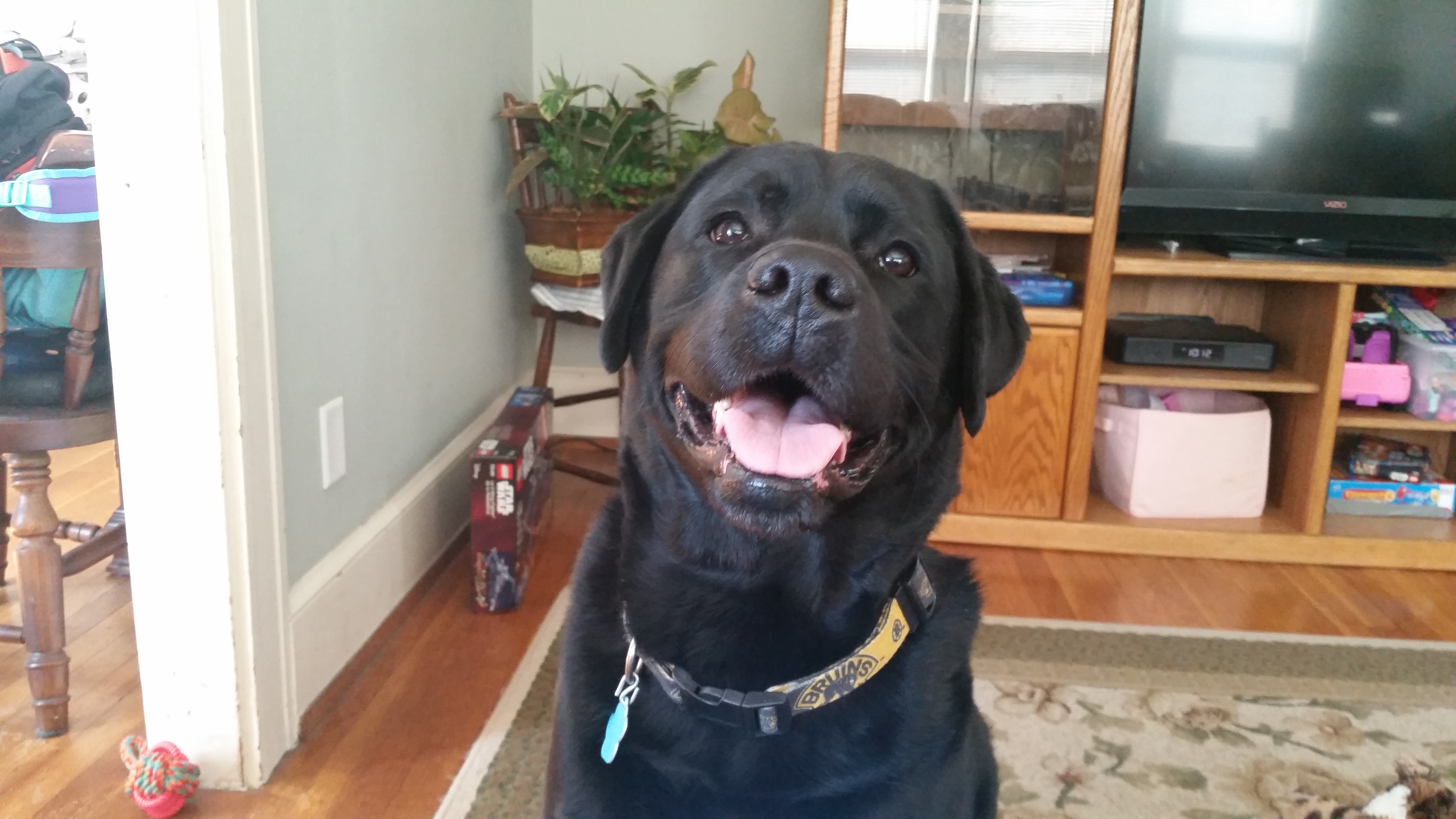 bgreener on One Bite Pizza App