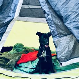 aaron.lundy on One Bite Pizza App