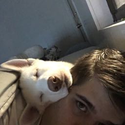 zachary.schweizer on One Bite Pizza App