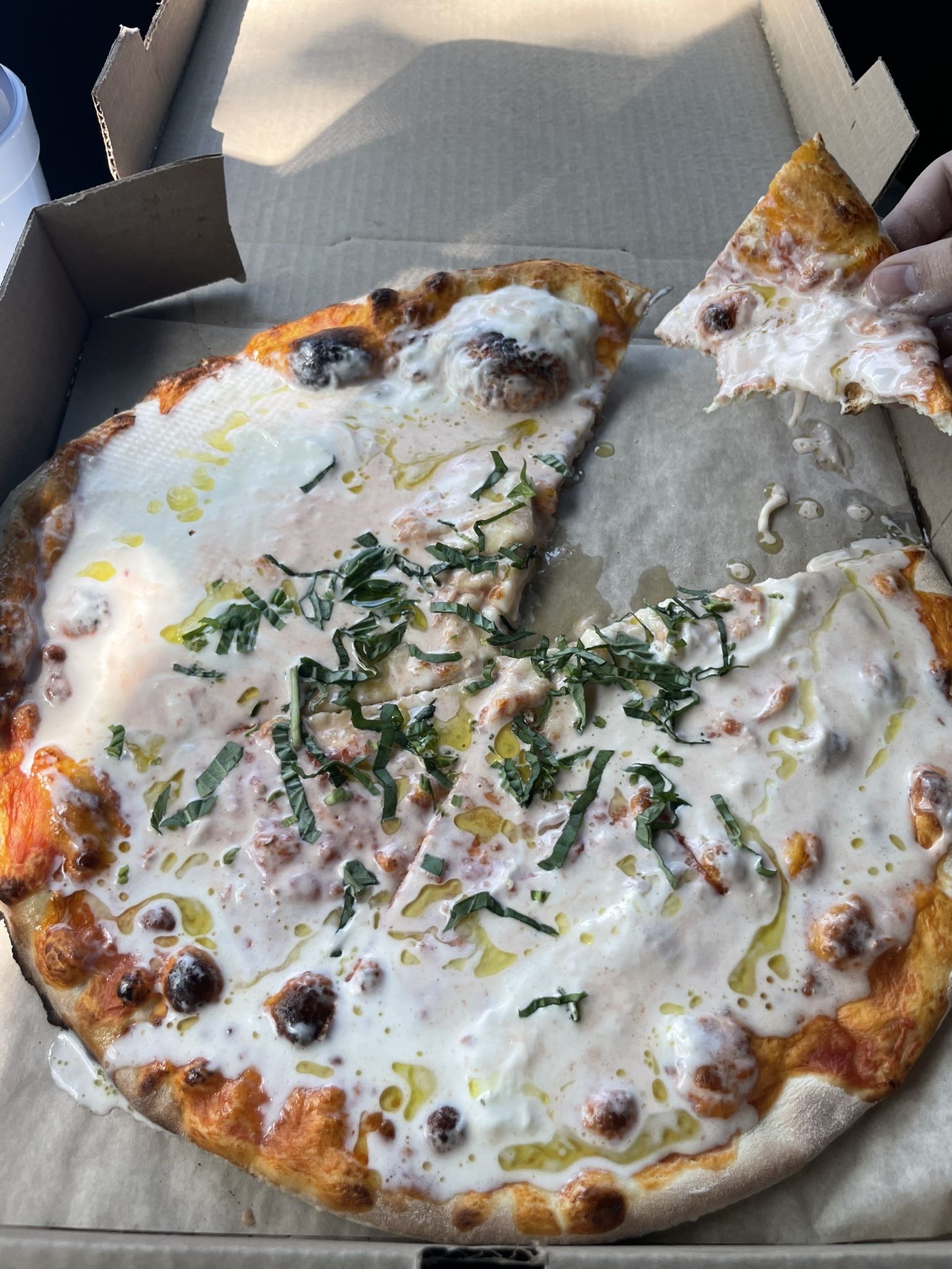 Pizza Review