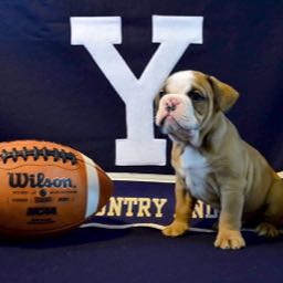 mandito on One Bite Pizza App