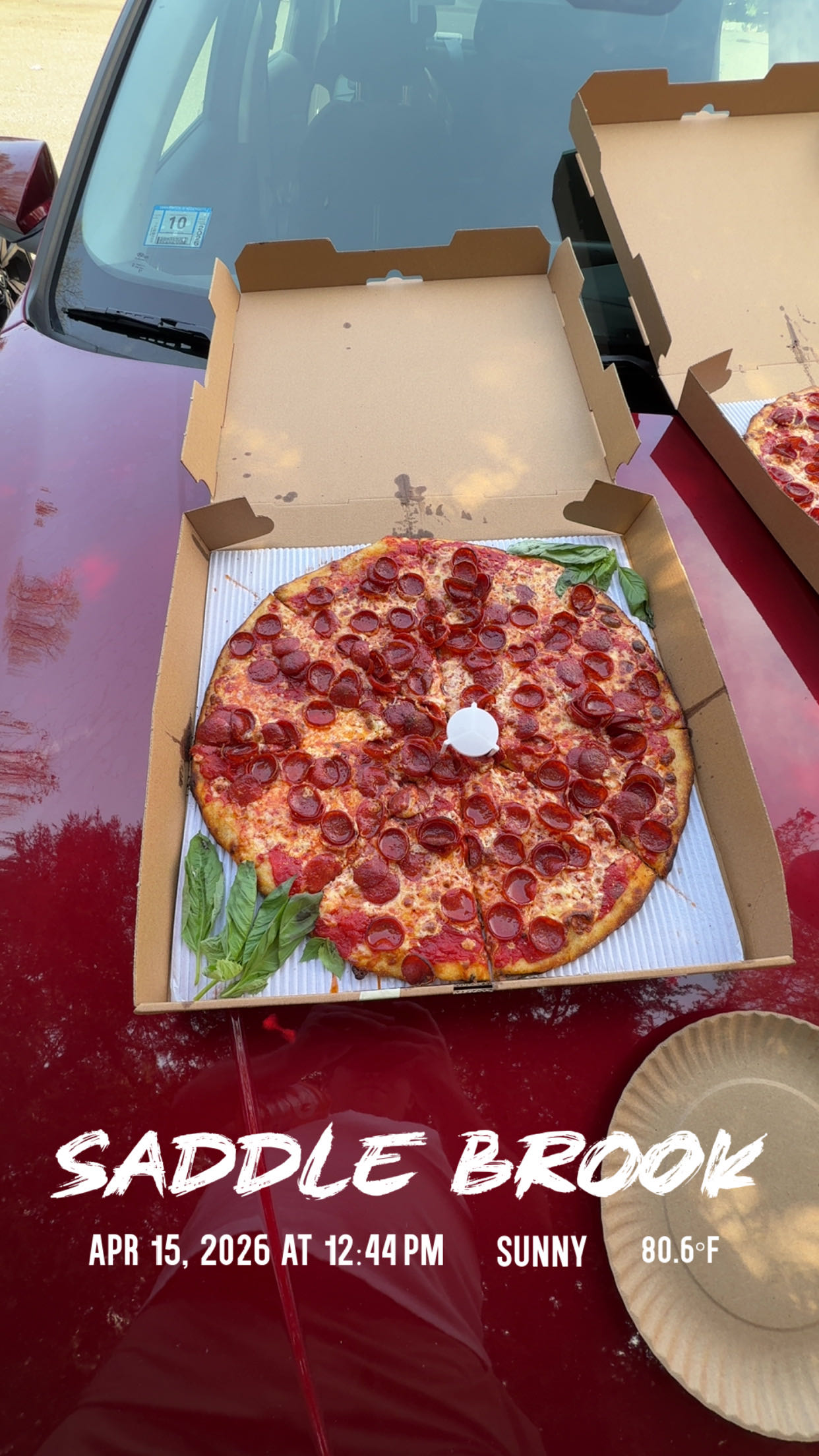 Pizza Review