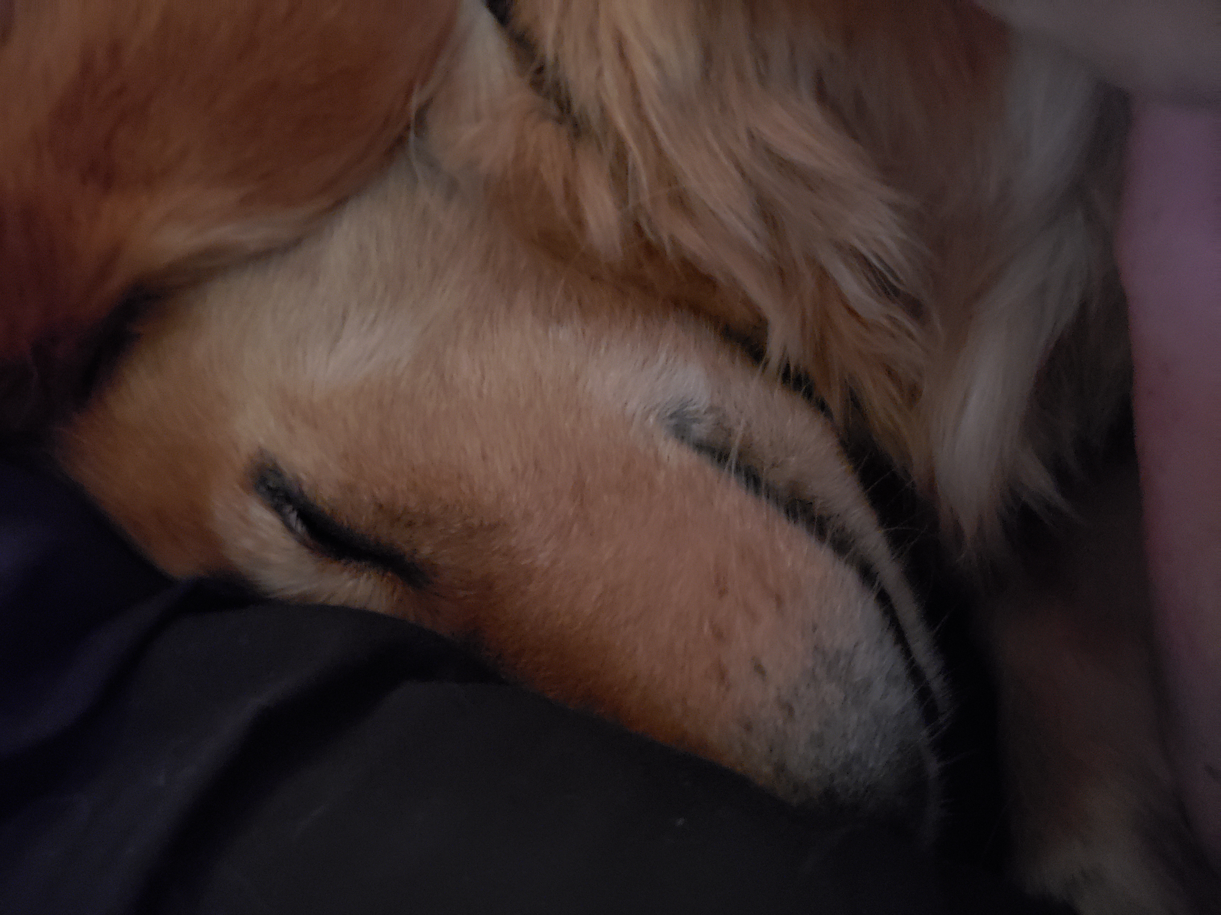 amy.ruthenberg on One Bite Pizza App