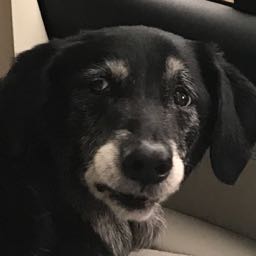 victoria.hart on One Bite Pizza App