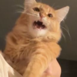 pumpkinpizza69 on One Bite Pizza App