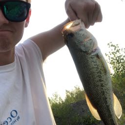 beamer on One Bite Pizza App