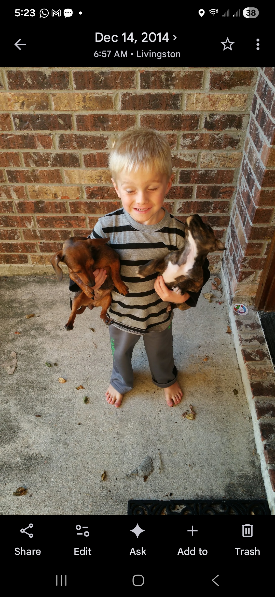 kris.clark2 on One Bite Pizza App