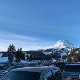 levi.c on One Bite Pizza App