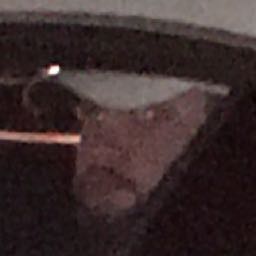 b.hansen on One Bite Pizza App