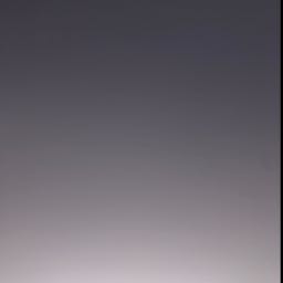 michael.matuch on One Bite Pizza App