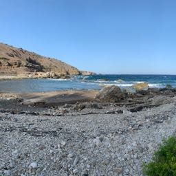 eddie.1 on One Bite Pizza App