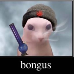 lilyumyum on One Bite Pizza App