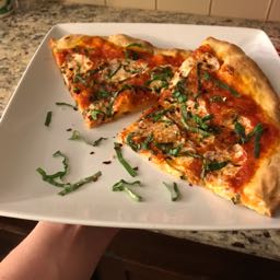 shane.ricci on One Bite Pizza App