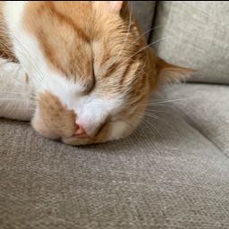 eatzapizza69 on One Bite Pizza App