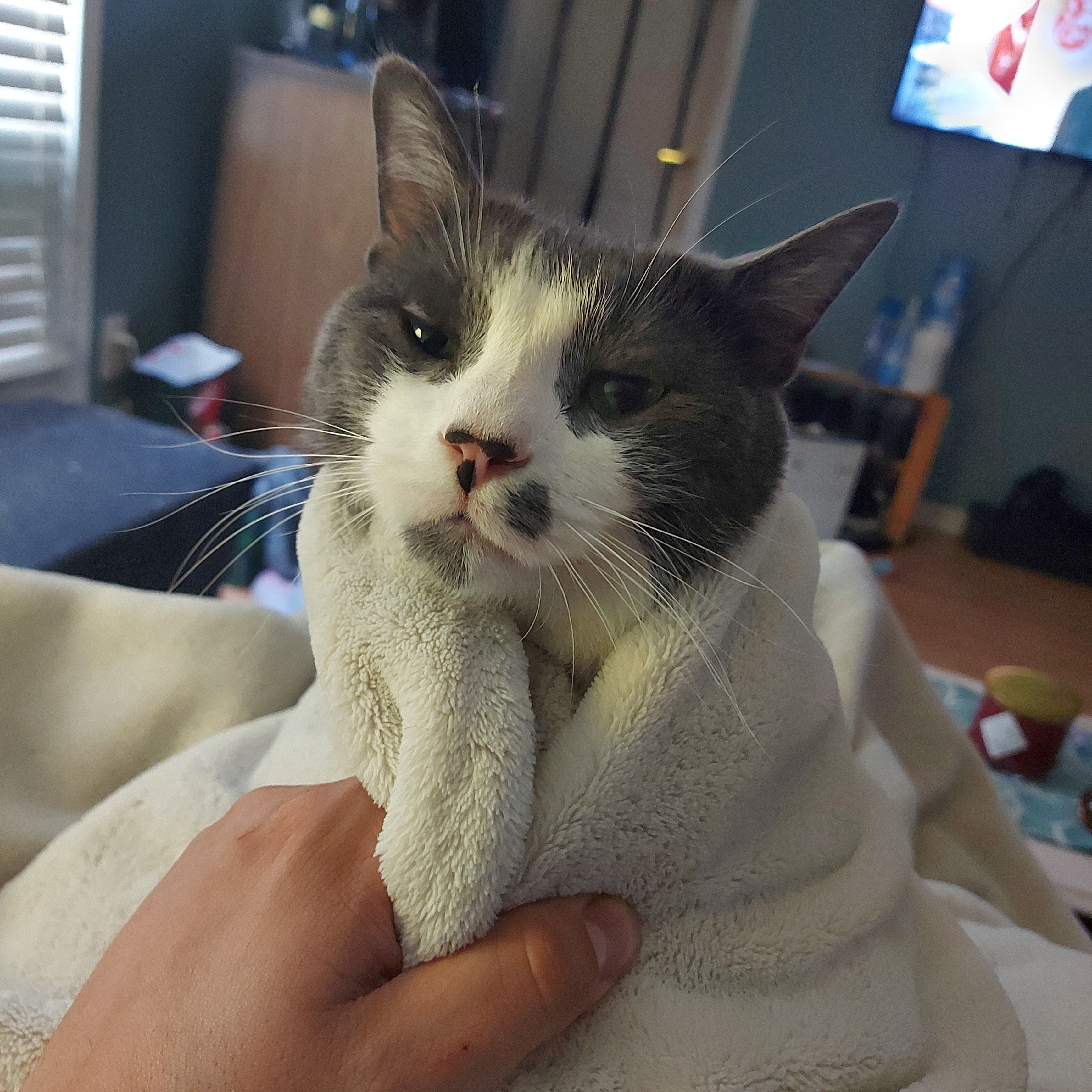 giuseppe.orlando on One Bite Pizza App