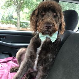 csmith23421 on One Bite Pizza App