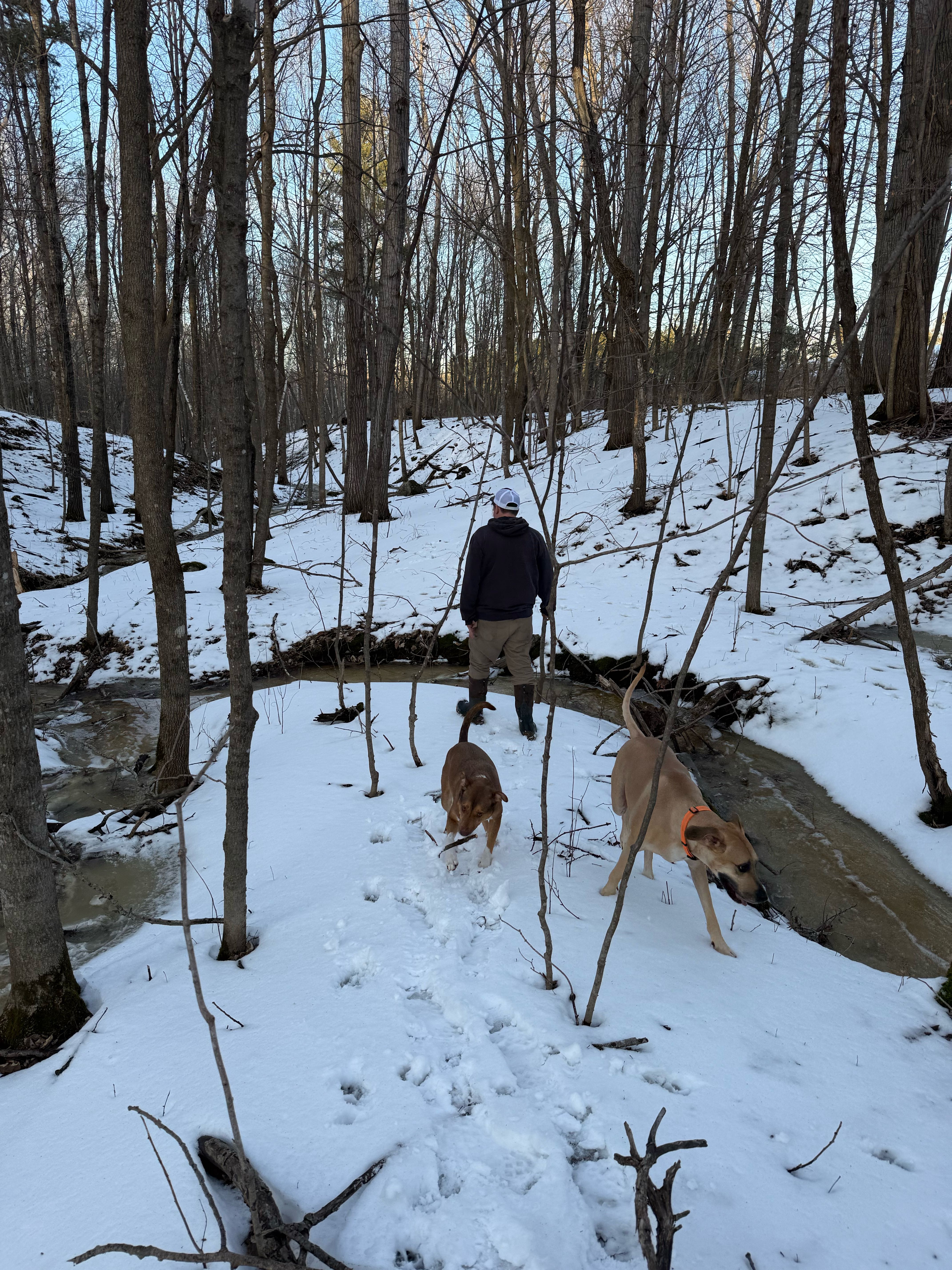 ryan.zeman on One Bite Pizza App