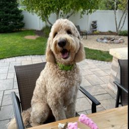 renee.vonderheide on One Bite Pizza App