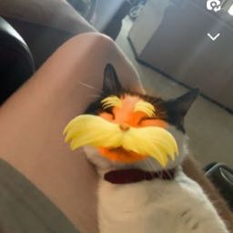 litdiggity999 on One Bite Pizza App