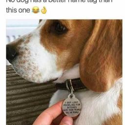 cody.bess on One Bite Pizza App