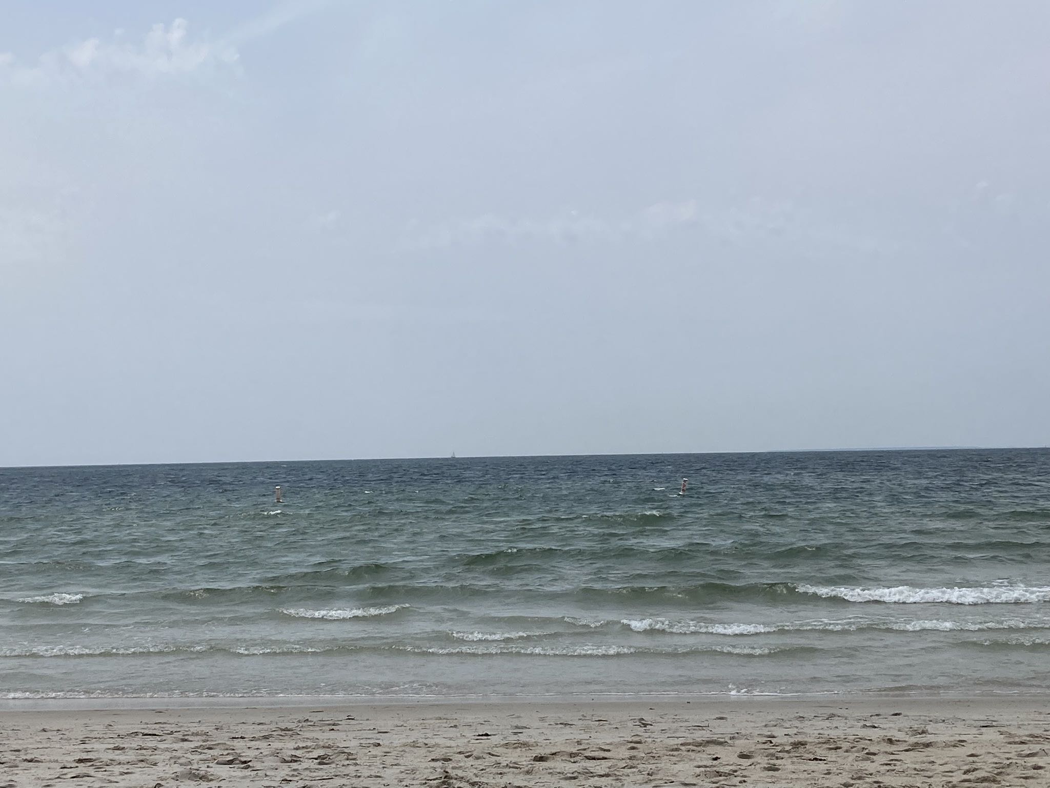 brenda.brams on One Bite Pizza App