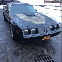 frank.muscarello on One Bite Pizza App