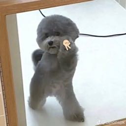 aniyah.a on One Bite Pizza App