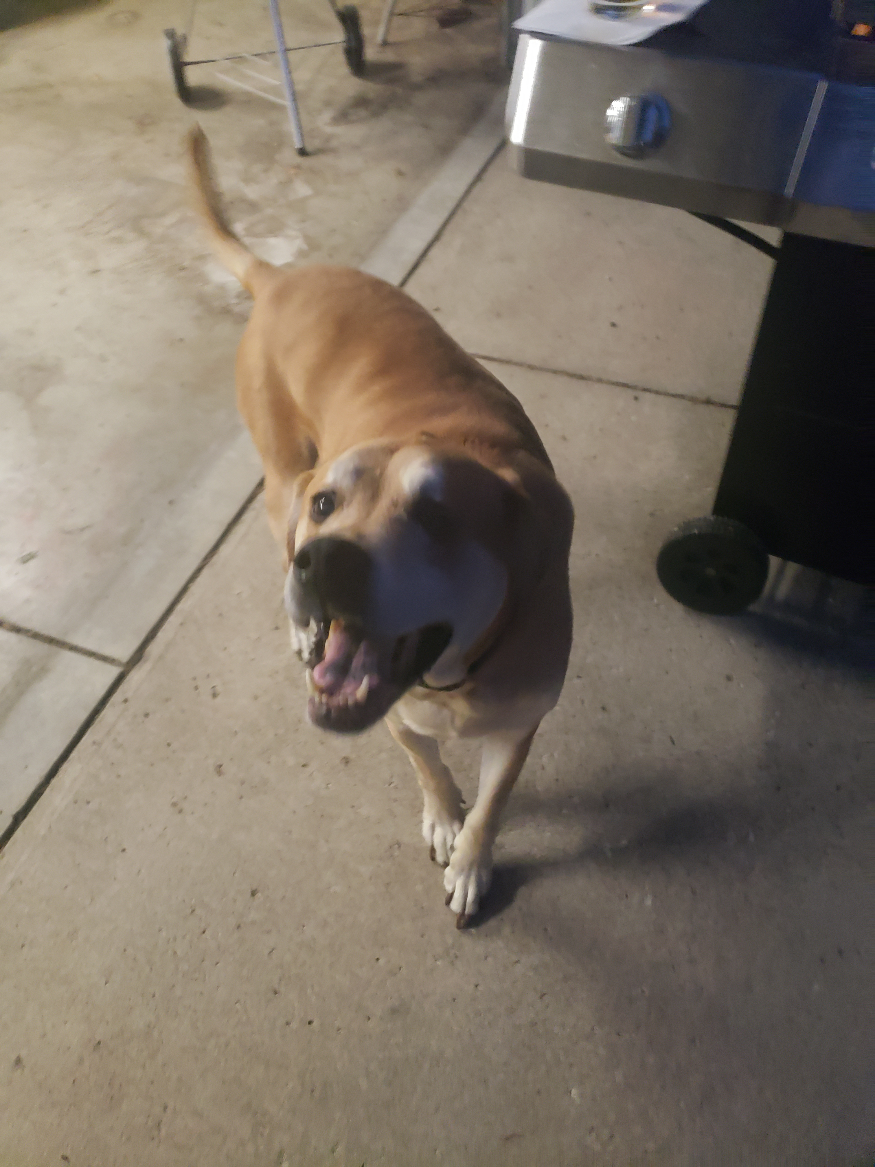 corey.leffler on One Bite Pizza App