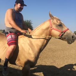 richard.newcomb on One Bite Pizza App