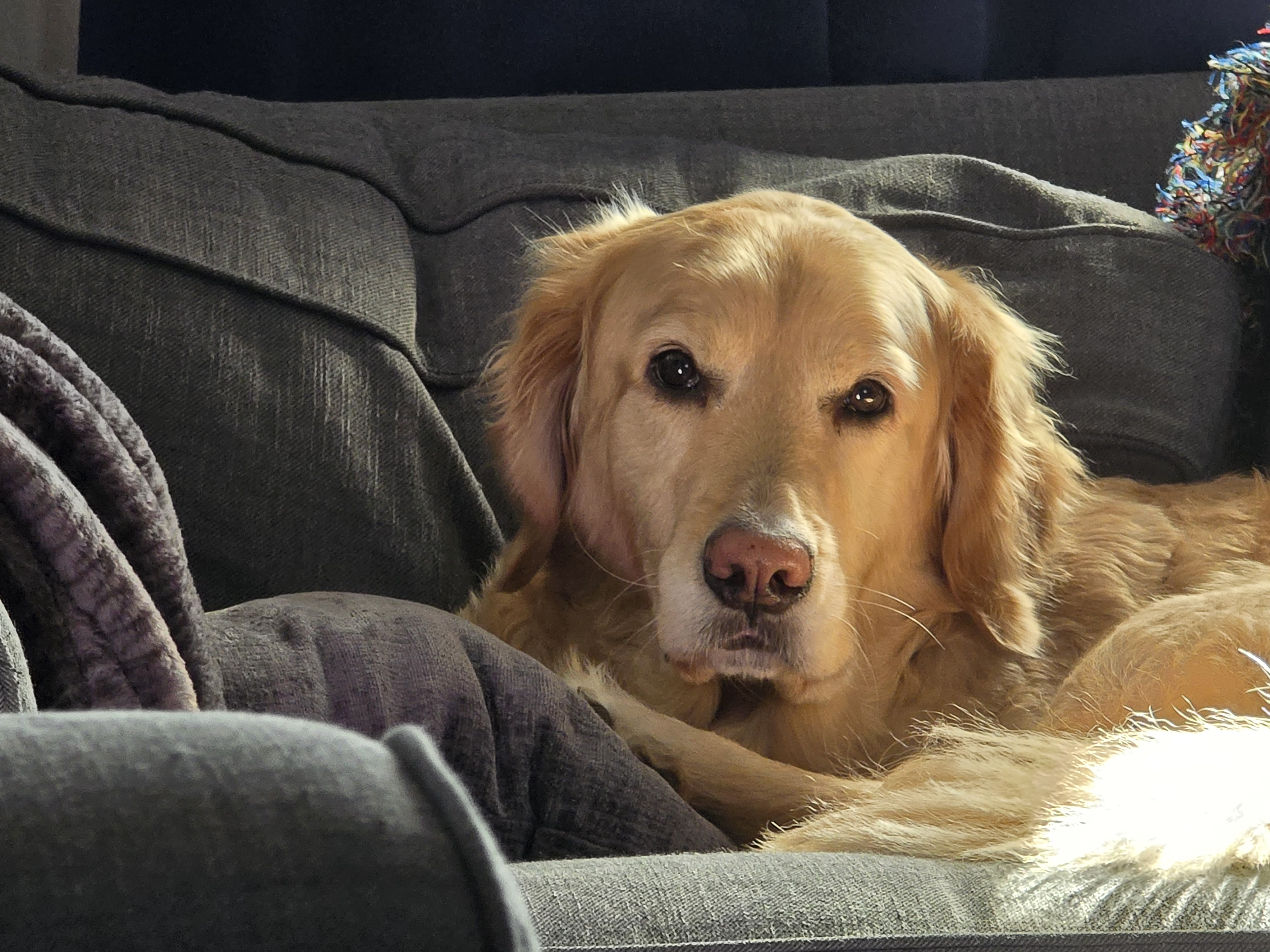 girthbrooks215 on One Bite Pizza App