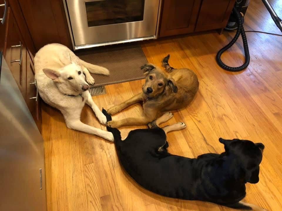 brad.pemberton on One Bite Pizza App