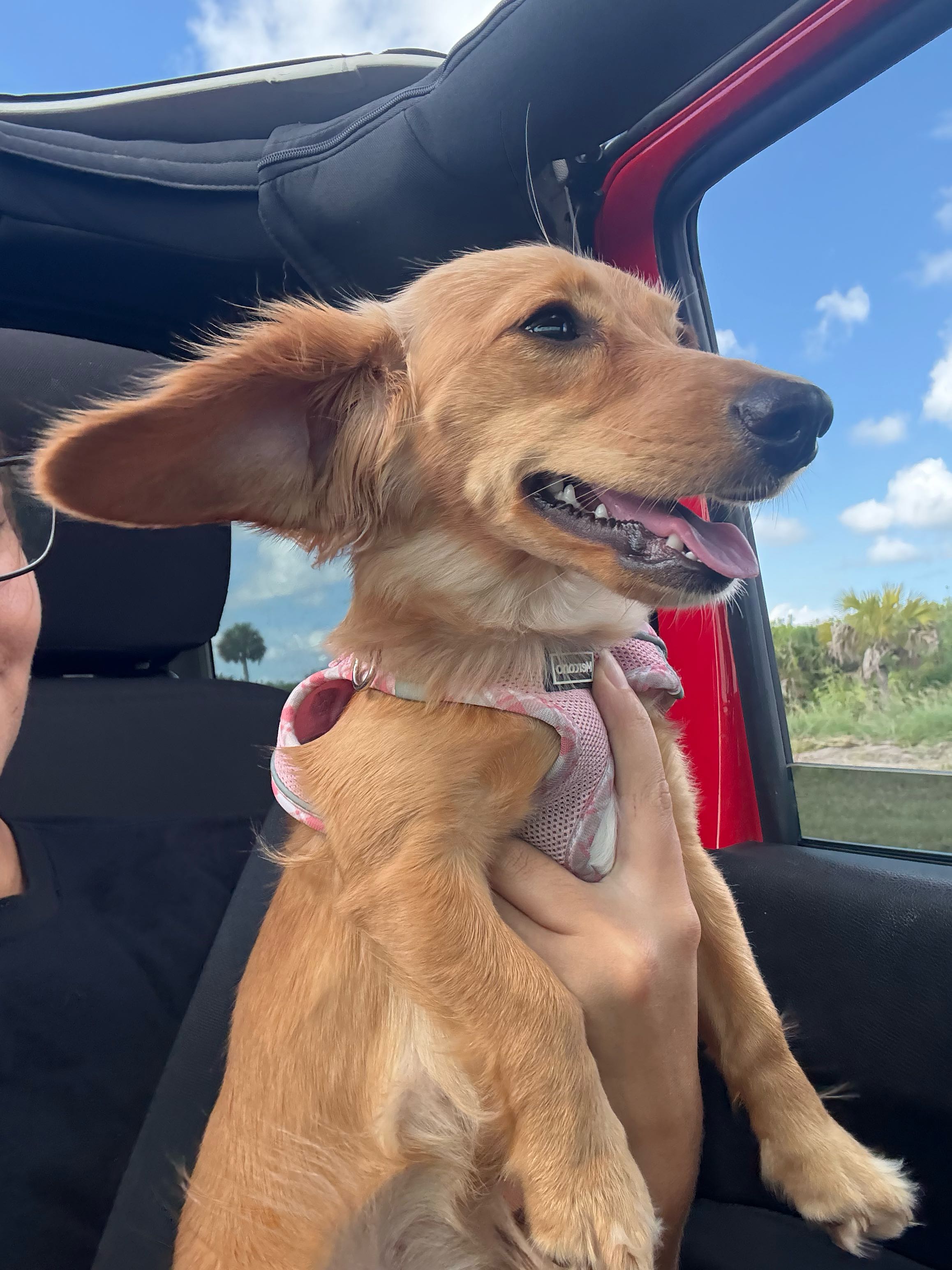 heather.devine on One Bite Pizza App