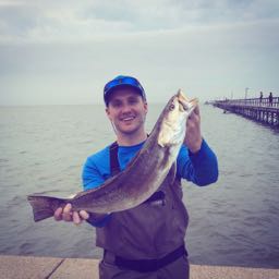 tyler.henry1 on One Bite Pizza App