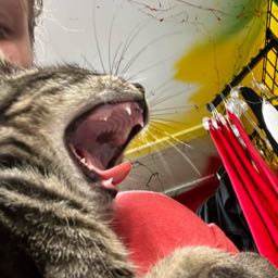 kayleigh.hopkins on One Bite Pizza App