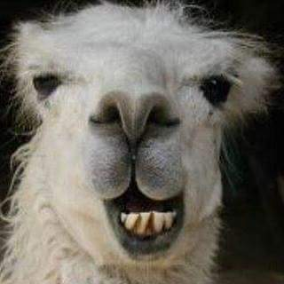 biguns00 on One Bite Pizza App