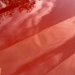 keevin.biggs on One Bite Pizza App