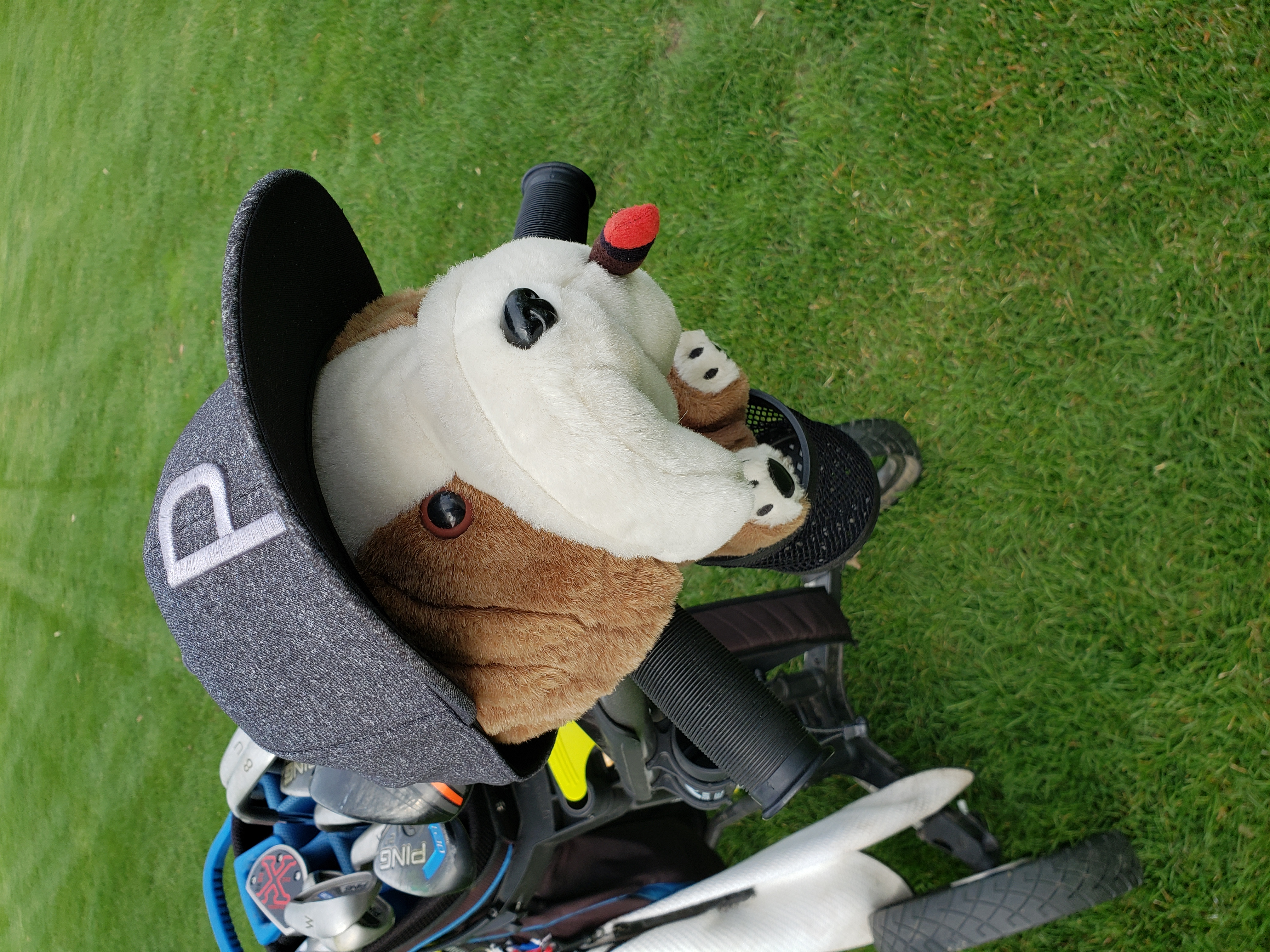 duytraner82 on One Bite Pizza App