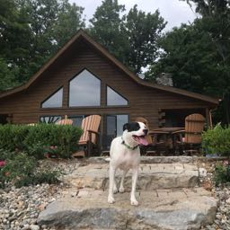 eric.cendrowski on One Bite Pizza App