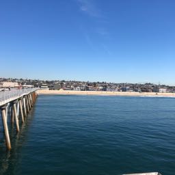 chris.n3 on One Bite Pizza App