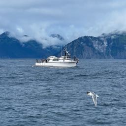 noah.wamsteker on One Bite Pizza App