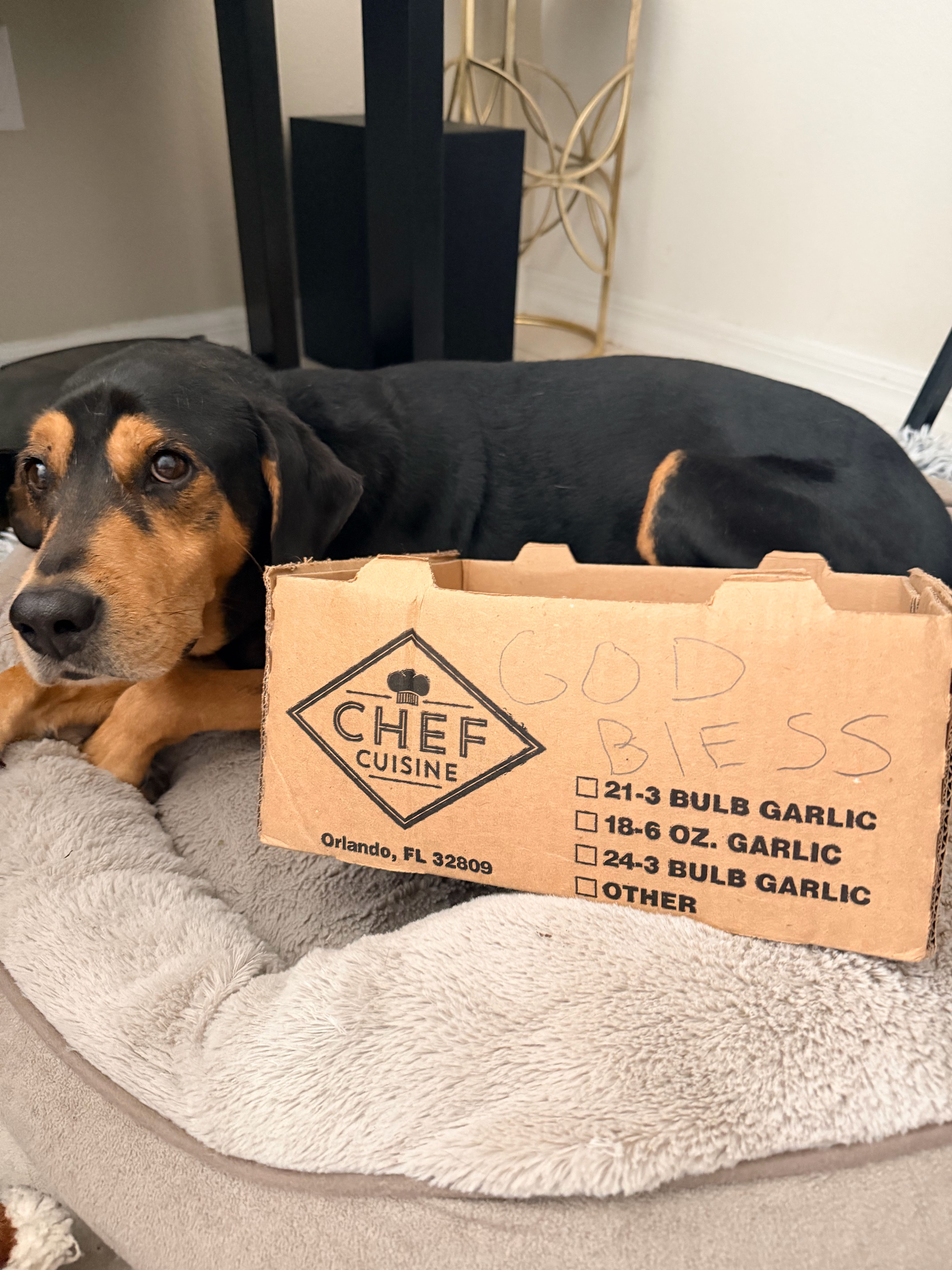 heric.montilla on One Bite Pizza App