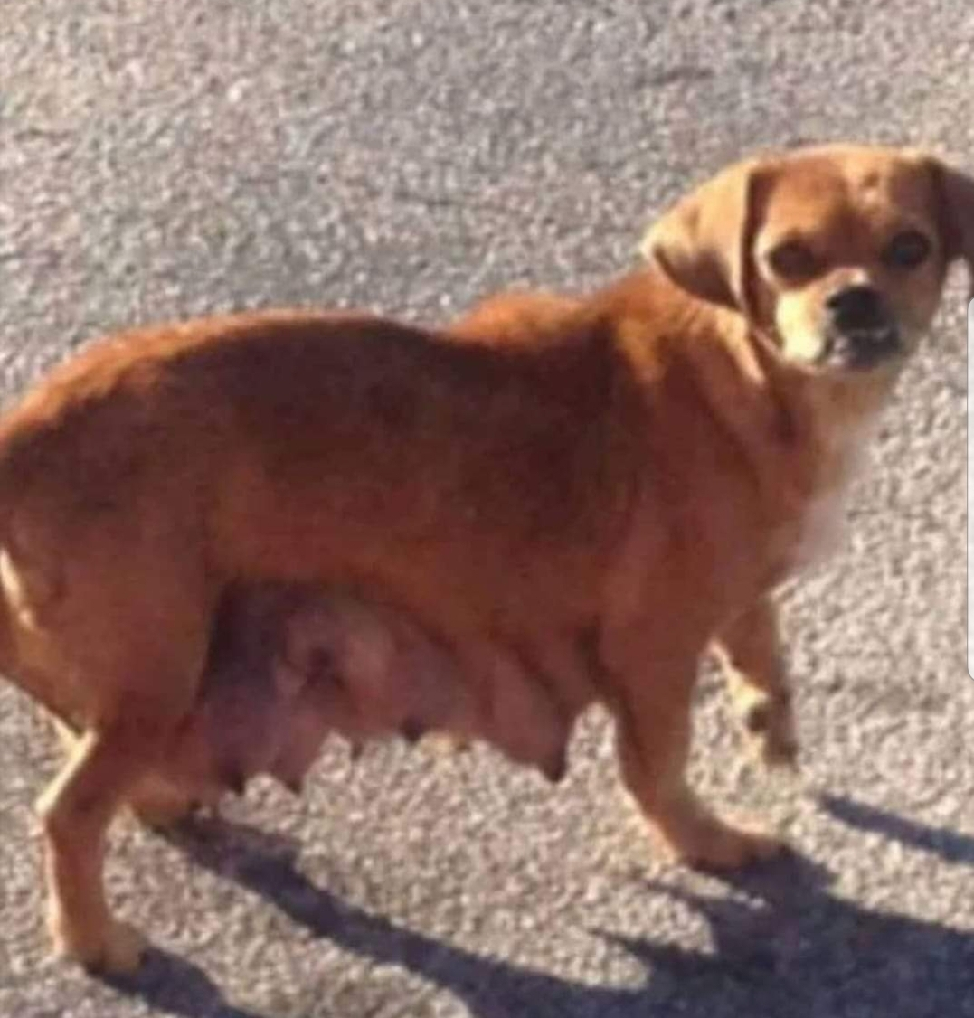 billyd22 on One Bite Pizza App