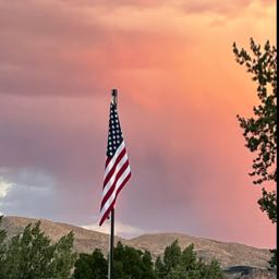 adam.heyder on One Bite Pizza App