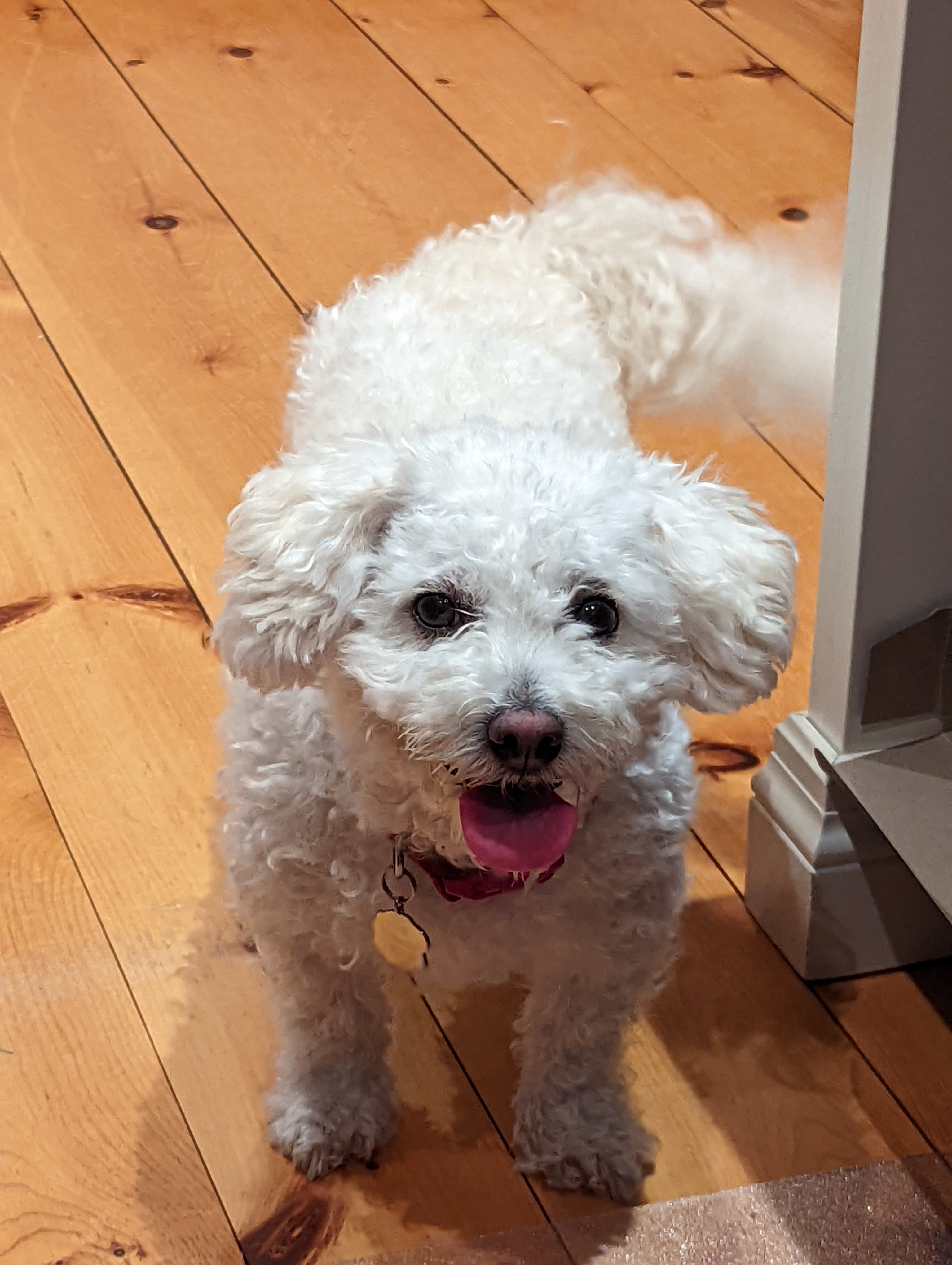 stavros.greer on One Bite Pizza App