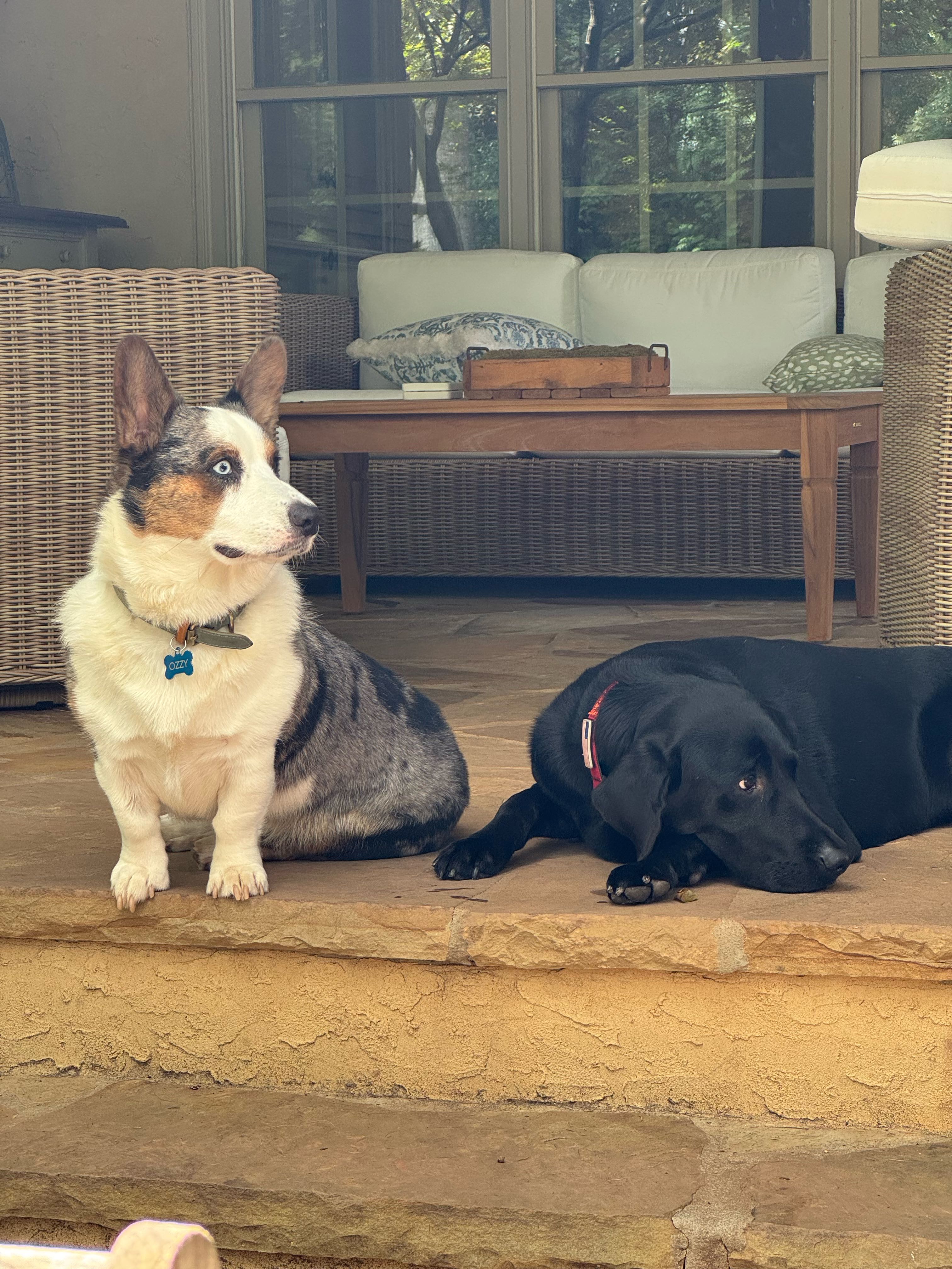 pieguy70 on One Bite Pizza App