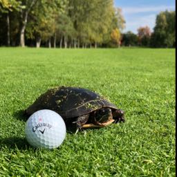 cole.pickle on One Bite Pizza App