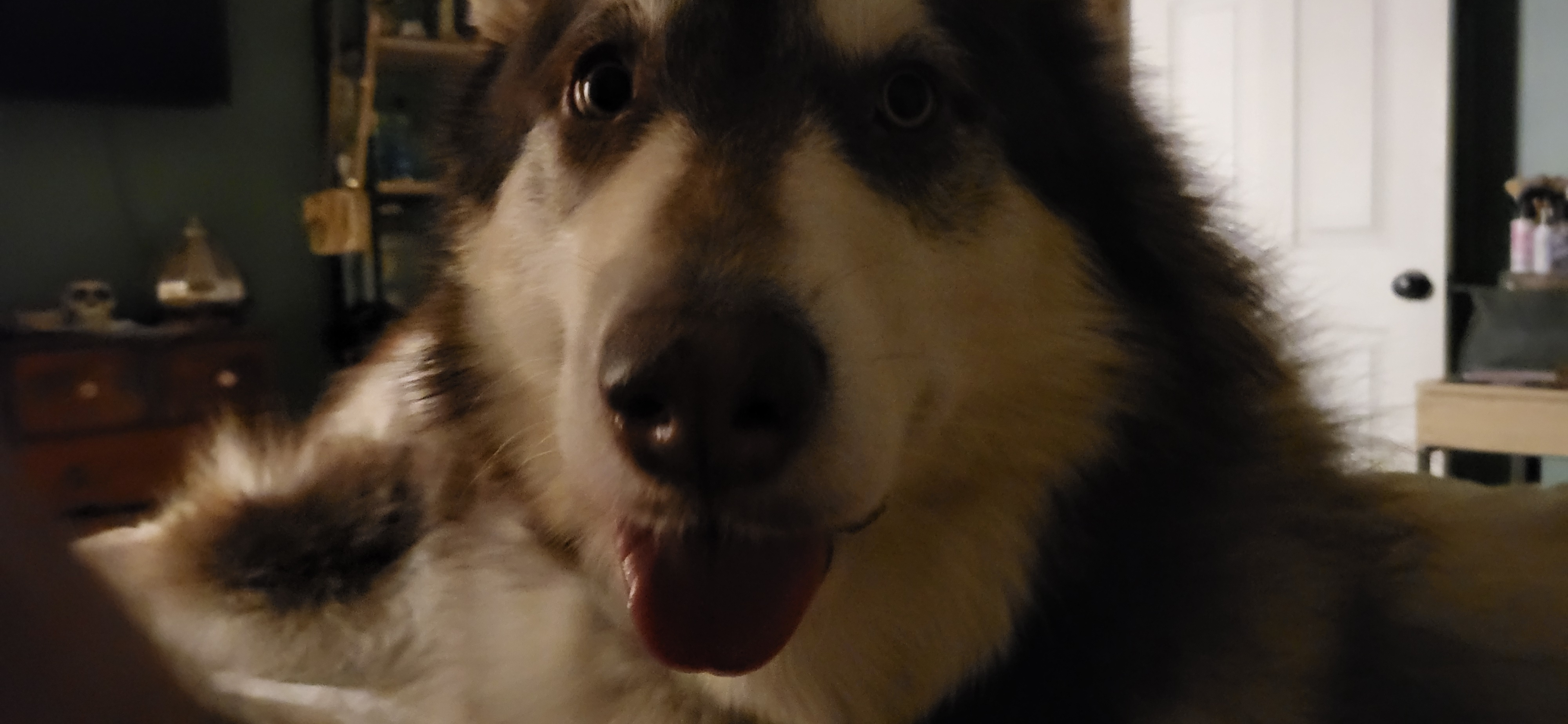 wp762 on One Bite Pizza App