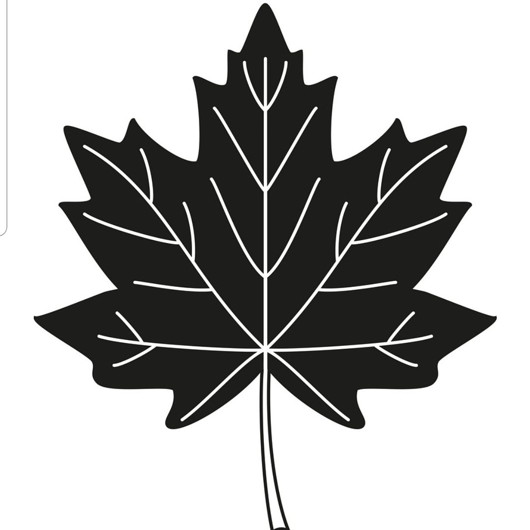 scooter.d on One Bite Pizza App