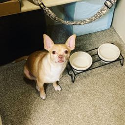 carly.yamrus on One Bite Pizza App