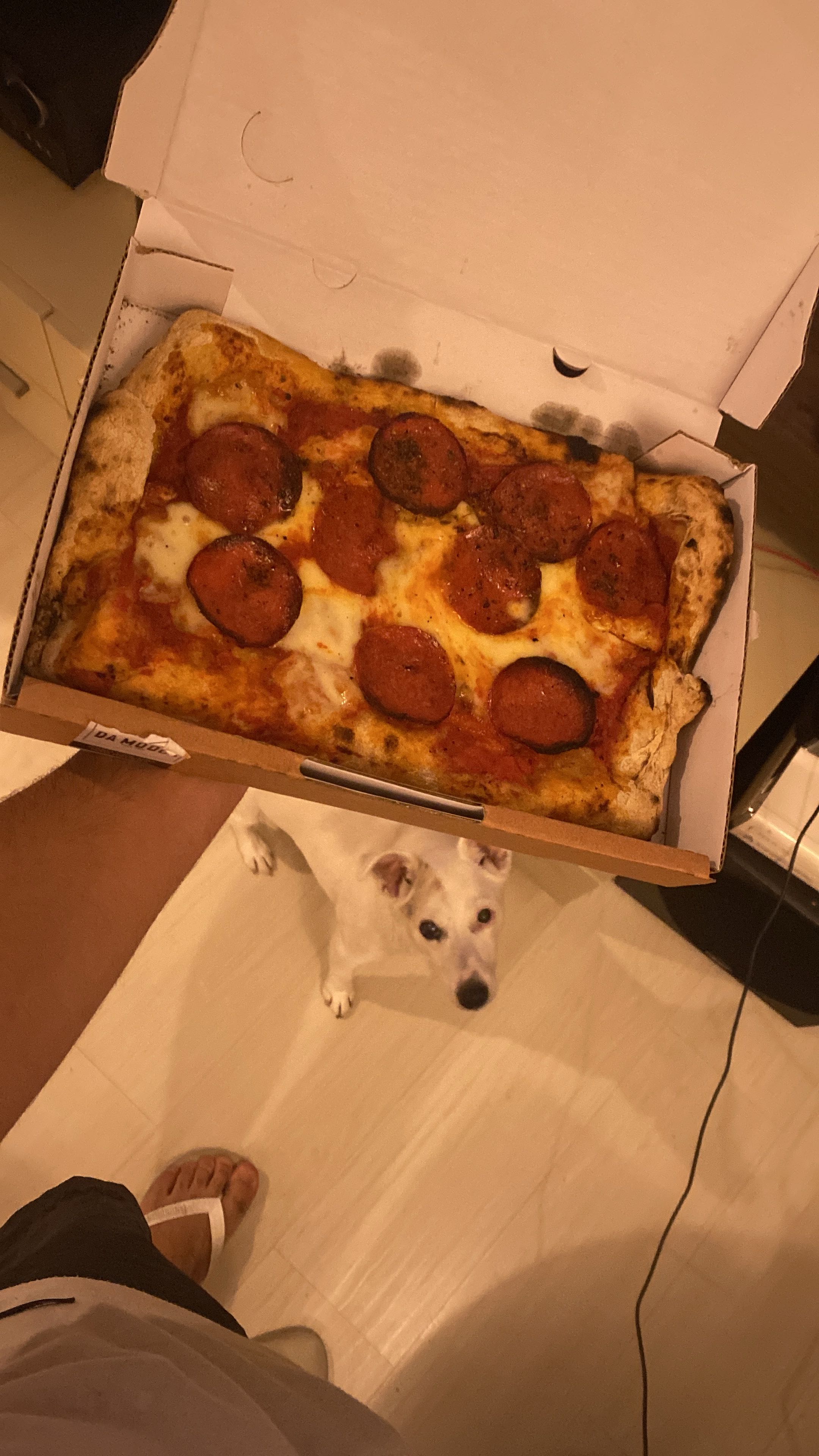 Pizza Review